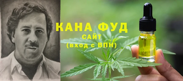 СК Алексин