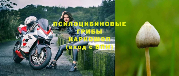 амфетамин Алексеевка