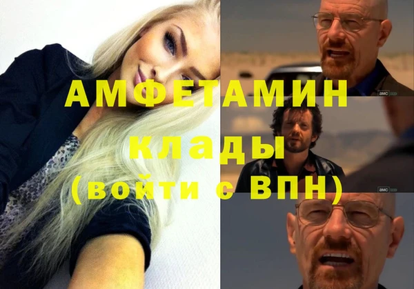 СК Алексин