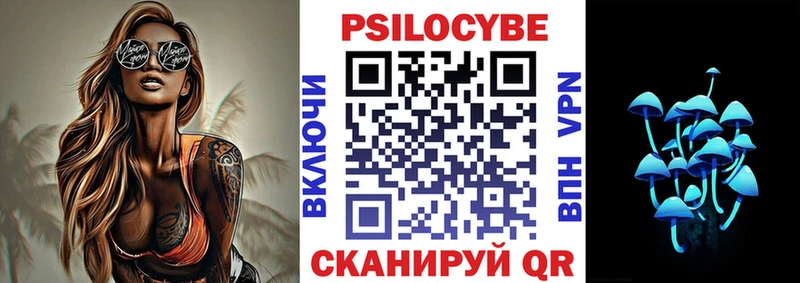 блэк спрут как войти купить сайты Кондопога Галлюциногенные грибы Cubensis
