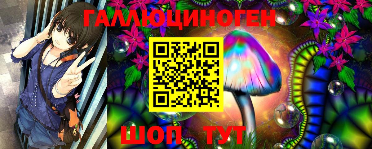 Псилоцибиновые грибы мицелий Кондопога